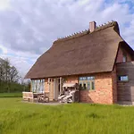 Reetdorf Geltinger Birk Kuenstlerkate Rohrsaenger *