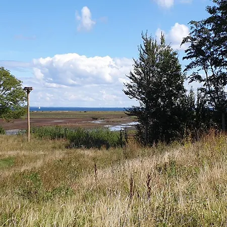 Reetdorf Geltinger Birk Kuenstlerkate Rohrsaenger Nieby (Nieby, Schleswig-Flensburg)